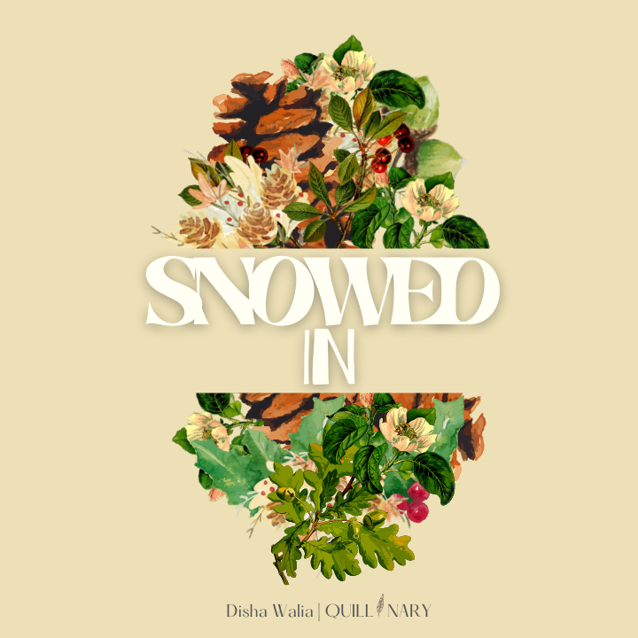 A Winter Contemporary Romance: Snowed In